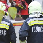 Kiskutyát mentettek ki a csatornából Pilinyben