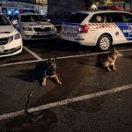 Kutyás járőrök lepték el Salgótarjánt